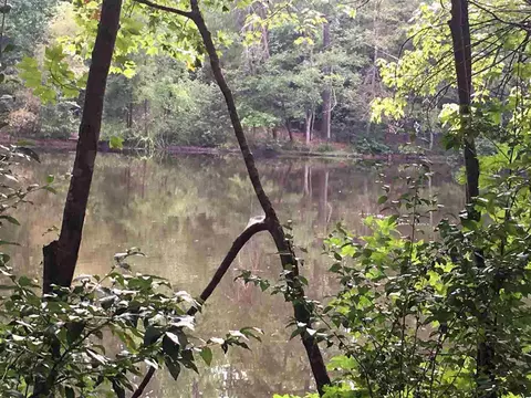 287 E Hawfields Rd, Pittsboro, NC 27312 photo 4