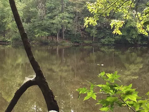 287 E Hawfields Rd, Pittsboro, NC 27312 photo 16