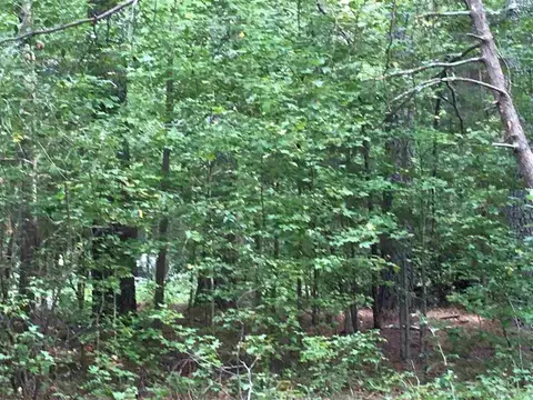 287 E Hawfields Rd, Pittsboro, NC 27312 photo 13