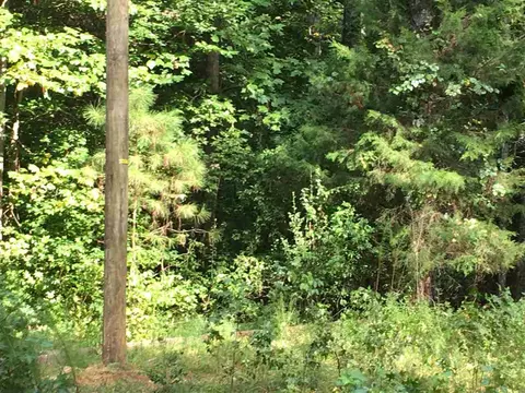 287 E Hawfields Rd, Pittsboro, NC 27312 photo 7