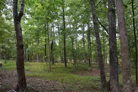 4501 Clear Cut Ct, Wake Forest, NC 27587 photo 6