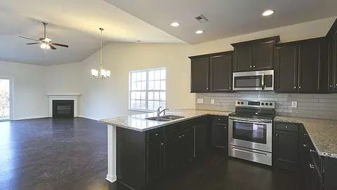 732 Rose Mallow Dr, Zebulon, NC 27597 photo 4