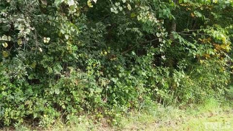 12642 Hampton Rd, Rougemont, NC 27572 photo 1