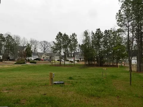 116 Gray Squirrel Dr, Angier, NC 27501 photo 11
