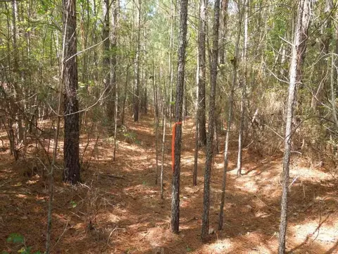 2701 Baptist Rd, Durham, NC 27703 photo 8