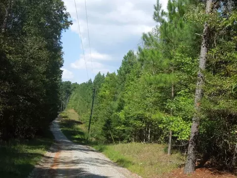 2701 Baptist Rd, Durham, NC 27703 photo 6