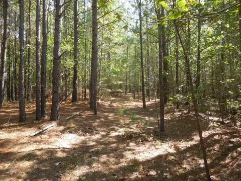 2701 Baptist Rd, Durham, NC 27703 photo 11