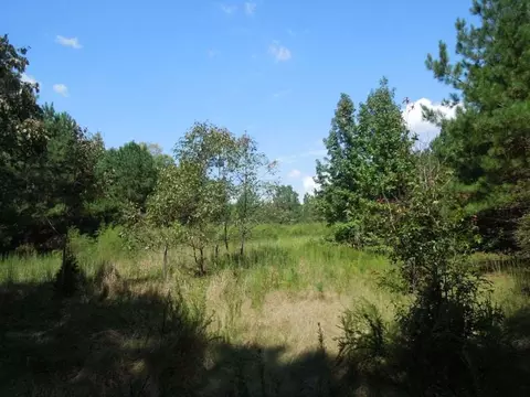 2701 Baptist Rd, Durham, NC 27703 photo 4