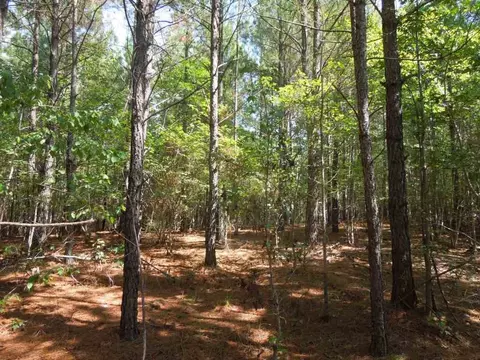 2701 Baptist Rd, Durham, NC 27703 photo 9
