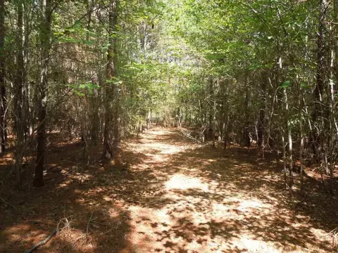 2701 Baptist Rd, Durham, NC 27703 photo 3
