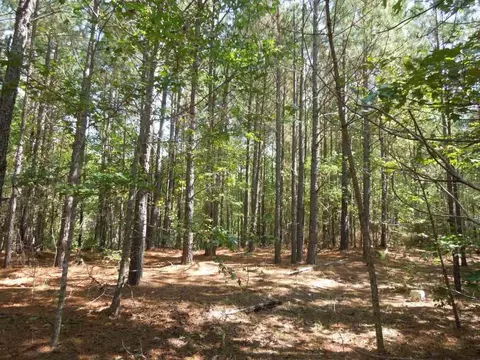 2701 Baptist Rd, Durham, NC 27703 photo 10