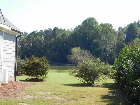 8313 Pin Cherry Dr, Willow Spring, NC 27592 photo 24