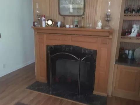 1187 Diamond Hill Rd, Stem, NC 27581 photo 6