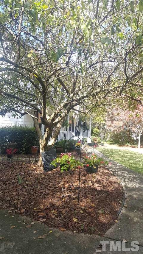 11332 Old Stage Rd, Middle Creek, NC 27592 photo 14