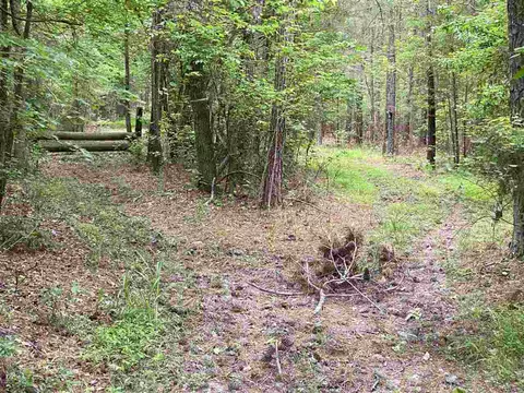 1816 Harris Rd, Rougemont, NC 27572 photo 9