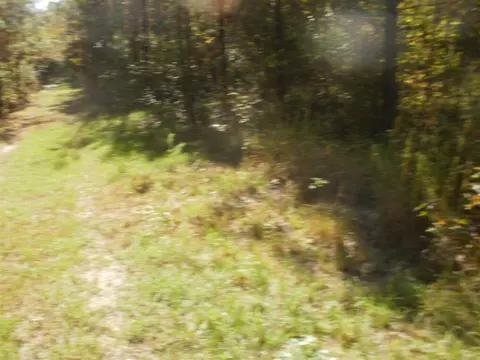 4 Brock Rd, Bunnlevel, NC 28323 photo 3