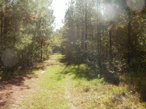 4 Brock Rd, Bunnlevel, NC 28323 photo 4