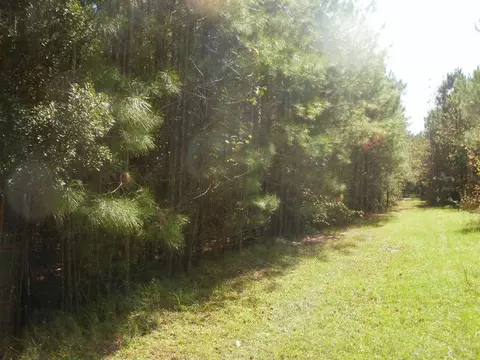 4 Brock Rd, Bunnlevel, NC 28323 photo 2