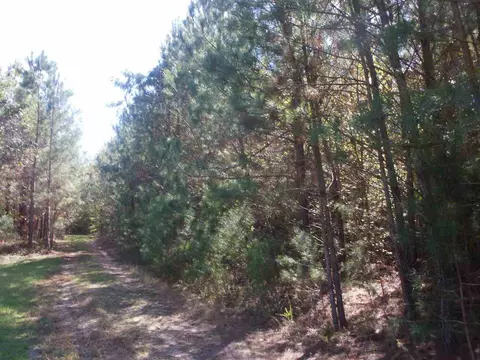 4 Brock Rd, Bunnlevel, NC 28323 photo 1