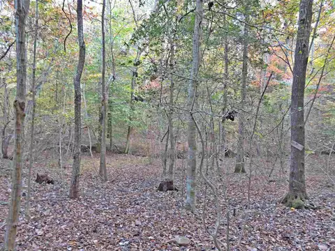 384 Cedar Laurel Ln, Rougemont, NC 27572 photo 17