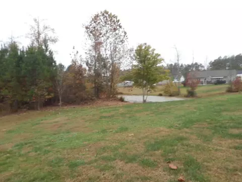 208 Edinburgh St, Stem, NC 27581 photo 20