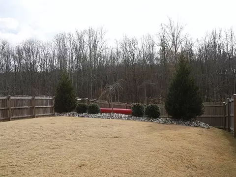 829 Poplar St, Durham, NC 27703 photo 18