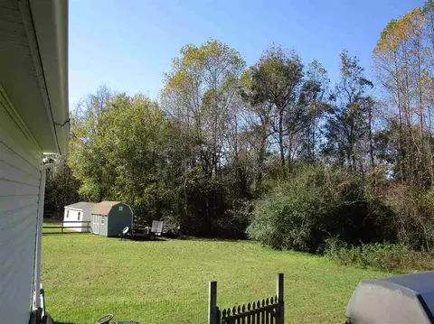 116 Mary Michael Ln, Benson, NC 27504 photo 10