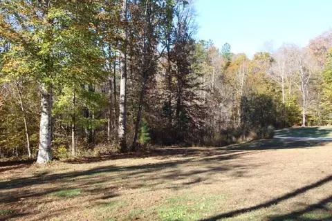 1086 Wild Briar Ln, Stem, NC 27581 photo 25