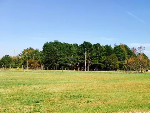1763 Wire Rd, Bunnlevel, NC 28323 photo 2