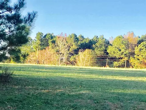 1763 Wire Rd, Bunnlevel, NC 28323 photo 21
