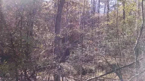7903 Mckee Rd, Rougemont, NC 27572 photo 5