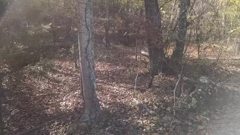7903 Mckee Rd, Rougemont, NC 27572 photo 3