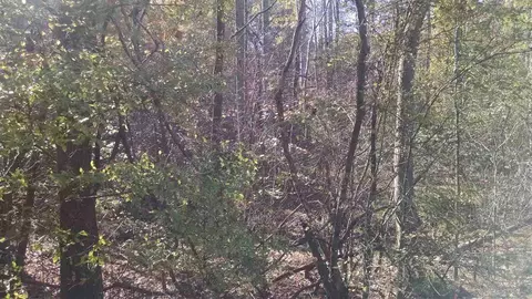 7903 Mckee Rd, Rougemont, NC 27572 photo 2