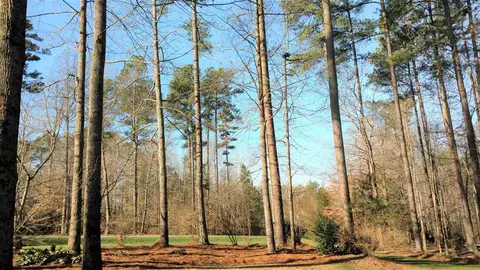 7521 Tynewind Dr, Wake Forest, NC 27587 photo 25