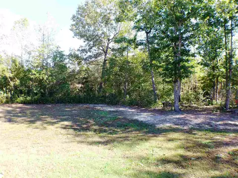 201 Burrage Dr, Angier, NC 27501 photo 3