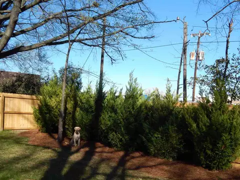 1306 Lancaster St, Durham, NC 27701 photo 23