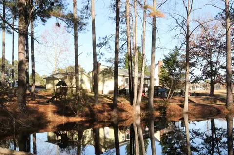 2007 Little Pond Pl, Willow Spring, NC 27592 photo 19