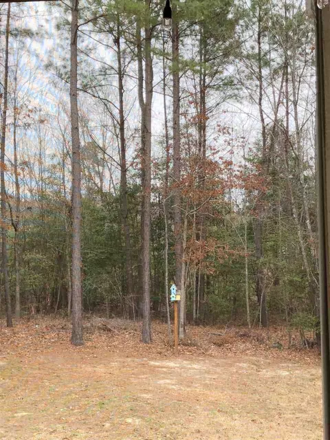 231 Coaster Ct, Angier, NC 27501 photo 22