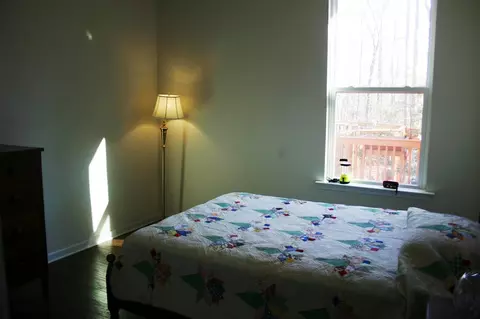 3745 Norman Blalock Rd, Willow Spring, NC 27592 photo 16
