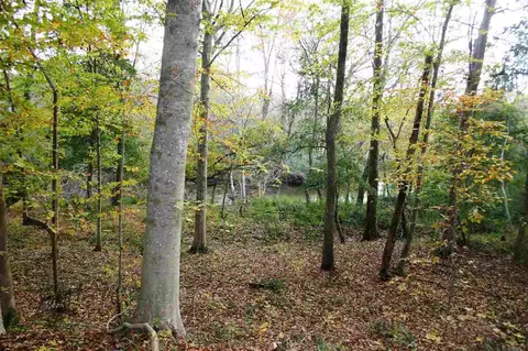 3745 Norman Blalock Rd, Willow Spring, NC 27592 photo 5