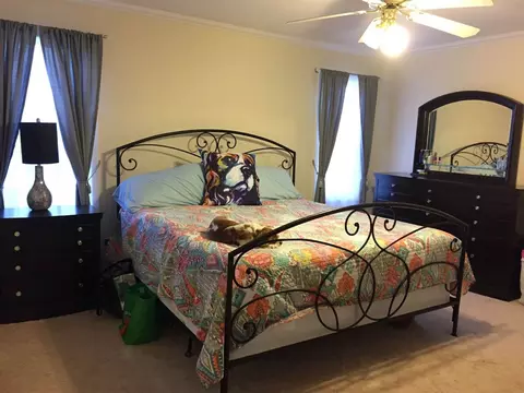 1402 Big Leaf Loop, Apex, NC 27502 photo 5