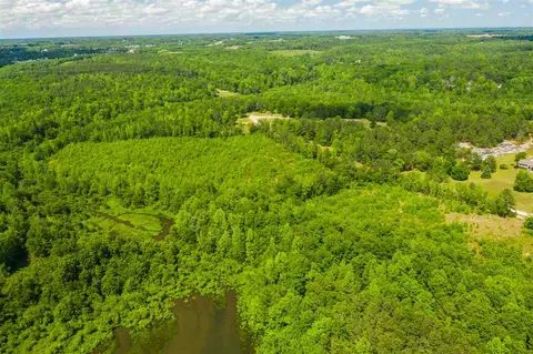 0 Gro Peg Ln, Wake Forest, NC 27587 photo 21