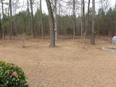 161 Ormond Ln, Selma, NC 27576 photo 24