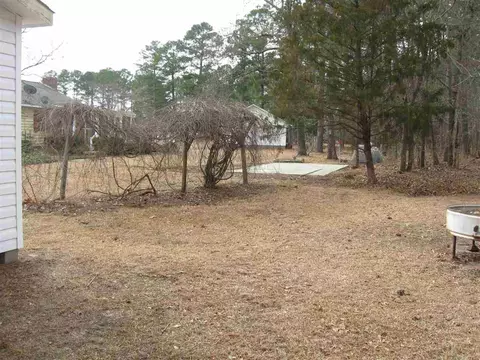 161 Ormond Ln, Selma, NC 27576 photo 25