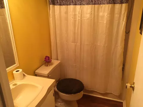 300 Grace Rd, Benson, NC 27504 photo 13
