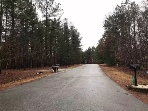 1225 Elysian Way, Rougemont, NC 27572 photo 6