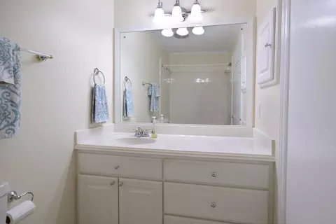 919 Milton Rd, Durham, NC 27712 photo 13