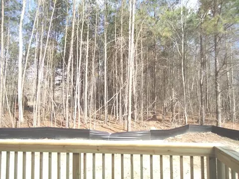 55 Springmoor Dr, Angier, NC 27501 photo 3