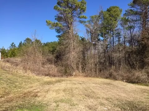 819 Hanson Rd, Durham, NC 27713 photo 20