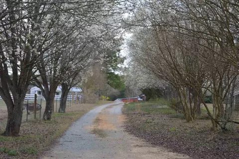 1200 Byrdtown Rd, Benson, NC 27504 photo 21